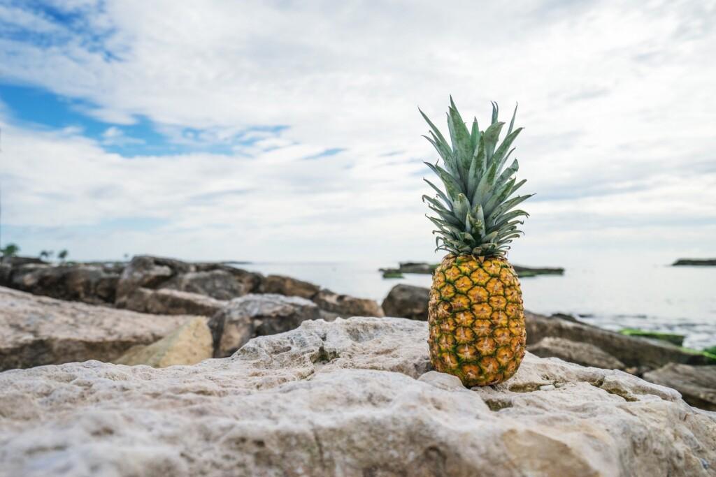 Etsivännuorisotyön ananas viettää aikaa rannikolla ja katselee vedelle.